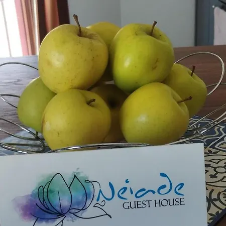 Vista Lecco - Neiade *