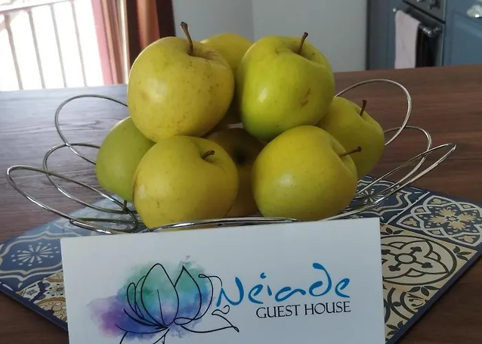 Vista Lecco - Neiade *